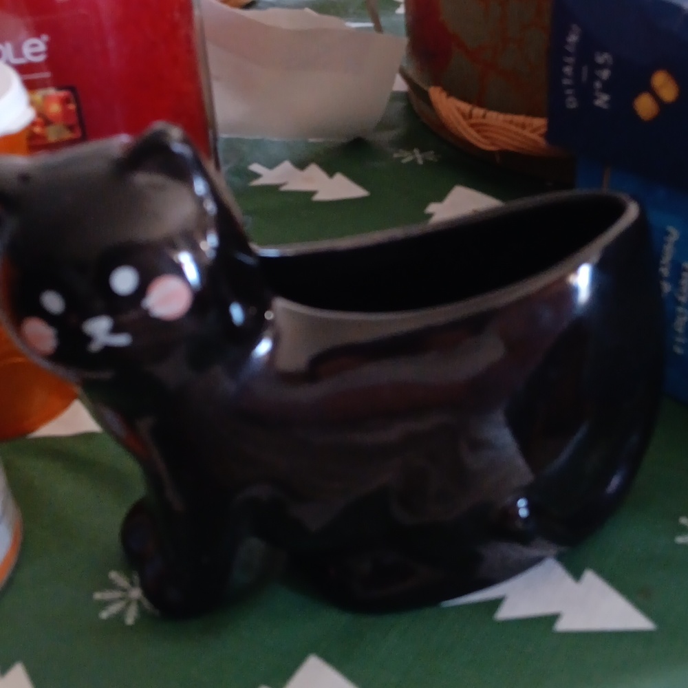 Black Ceramic Cat